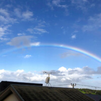 大きな虹