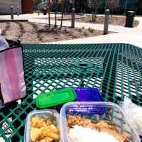 アメリカで一人で弁当食べてても誰も気にしない!