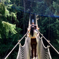 大学の植物園のツリーウォークで