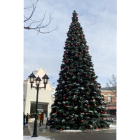 大きなクリスマスツリー