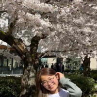 キャンパスの桜と